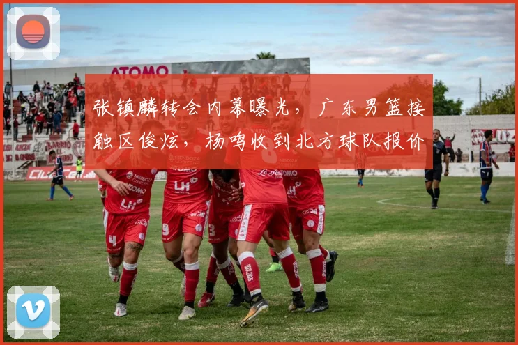 张镇麟转会内幕曝光，广东男篮接触区俊炫，杨鸣收到北方球队报价